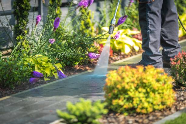Mississippi State, MS  Pressure Washing Services Company